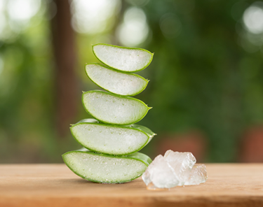 Aloe vera: benefici, usi e controindicazioni