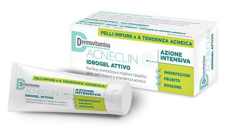 DERMOVITAMINA ACNECLIN IDROGEL ATTIVO AZIONE INTENSIVA 40 ML image not present
