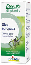 OLEA EUROPAEA MACERATO GLICERICO 60 ML INT