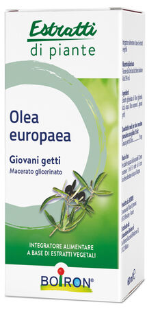 OLEA EUROPAEA MACERATO GLICERICO 60 ML INT image not present
