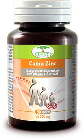CAMU ZINC 90 COMPRESSE image not present