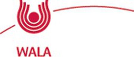 METEOREISEN PHOSPHOR QUARZ 20 G GLOBULI WALA image not present