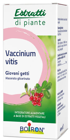 VACCINIUM VITIS MACERATO GLICERICO 60 ML INT image not present