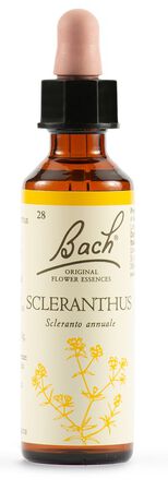 SCLERANTUS BACH ORIG 20 ML image not present