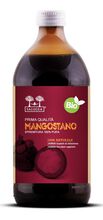 SALUGEA SUCCO MANGOSTANO BIO 500 ML