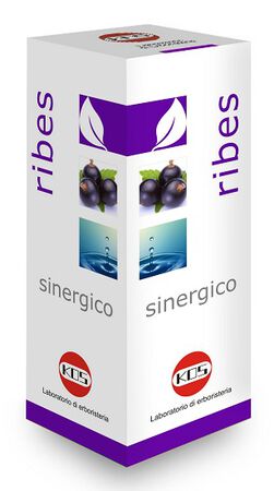 RIBES SINERGICO GOCCE 100 ML image not present