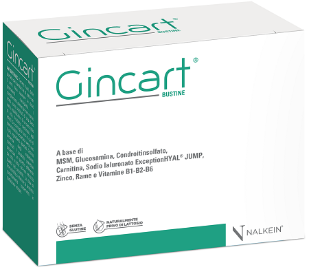 GINCART 18 BUSTINE image not present