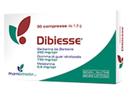 DIBIESSE 30 COMPRESSE image not present