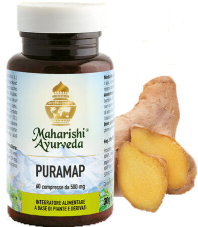 PURAMAP 60 COMPRESSE image not present