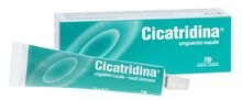 CICATRIDINA UNGUENTO NASALE 15 G