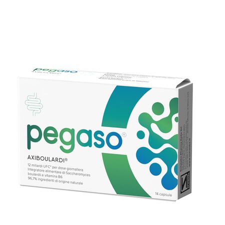 PEGASO AXIBOULARDI 14 CAPSULE image not present