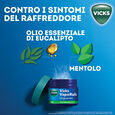 VICKS VAPORUB*ung inal 50 g image number null
