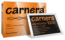 CARNERA 1000 18 BUSTINE