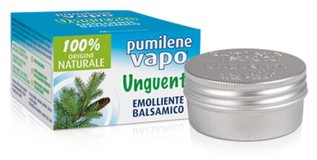 PUMILENE VAPO UNGUENTO BALSAMICO 50 ML image not present