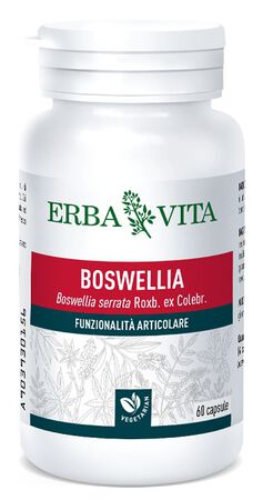 BOSWELLIA SERRATA 60 CAPSULE 400 MG image not present