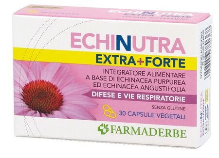 ECHINUTRA EXTRA FORTE 30 CAPSULE image not present
