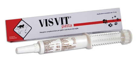 VISVIT PASTA OS SIRINGA 15 G image not present