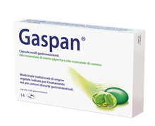 GASPAN*14 cps molli gastrores 90 mg + 50 mg