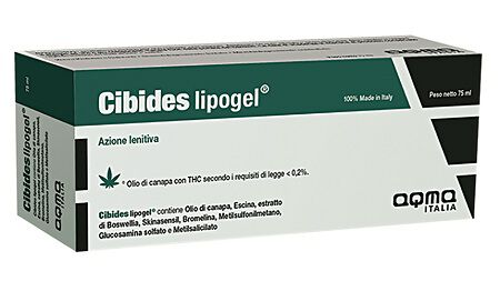 CIBIDES LIPOGEL 75 ML image not present
