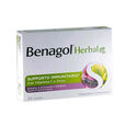 BENAGOL HERBAL FRUTTI DI BOSCO 24 PASTIGLIE image number null