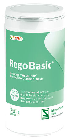 REGOBASIC POLVERE 250 G image not present