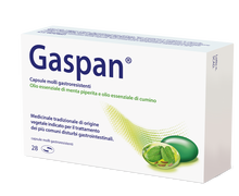 GASPAN*28 cps molli gastrores 90 mg + 50 mg