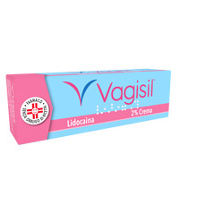 VAGISIL*crema derm 20 g 2%