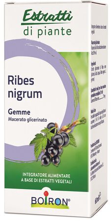 RIBES NIGRUM MACERATO GLICERICO 60 ML INT image not present