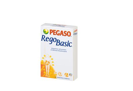 REGOBASIC 12 BUSTINE POLVERE image not present