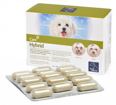 ORME NATURALI HYBRID 60 COMPRESSE 1300 MG image not present