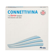 CONNETTIVINA*10 garze 2 mg 10 cm x 10 cm