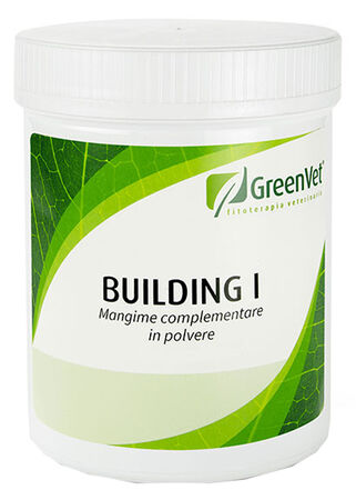 GREENVET BUILDING I POLVERE 500 G image not present