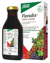 FLORADIX FERRO E VITAMINE 250 ML