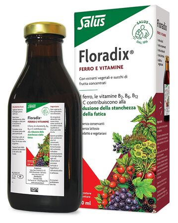 FLORADIX FERRO E VITAMINE 250 ML image not present