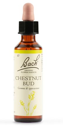 CHESTNUT BUD BACH ORIG 20 ML image not present