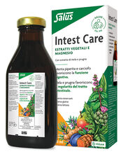 INTESTCARE 250 ML