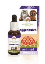 AGGRESSIVE 30 ML