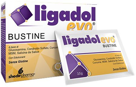 LIGADOL EVO 20 BUSTINE 3,5 G image not present