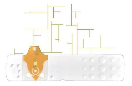 STRISCE MISURAZIONE GLICEMIA LINEA D ORO 25 PEZZI image not present