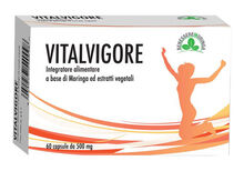 VITALVIGORE 60 CAPSULE