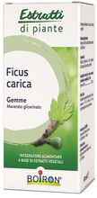 FICUS CARICA GEMME MACERATO GLICERINATO 60 ML INT