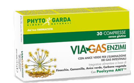 VIAGAS ENZIMI 30 COMPRESSE image not present
