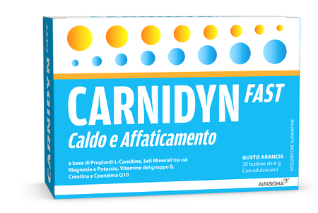 CARNIDYN FAST 20 BUSTINE image not present