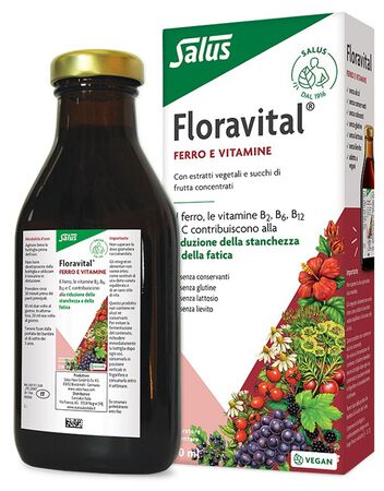 FLORAVITAL 250 ML image not present