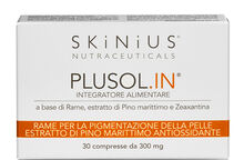 PLUSOL IN 30 COMPRESSE