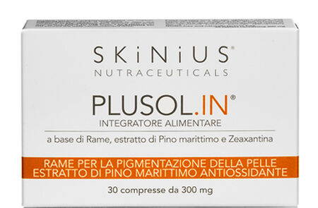PLUSOL IN 30 COMPRESSE image not present