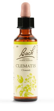 CLEMATIS BACH ORIG 20 ML image not present