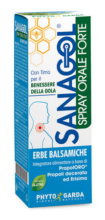 SANAGOL SPRAY FORTE ERBE BALSAMICHE 20 ML image not present