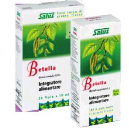BETULLA SUCCO 200ML BIO image not present