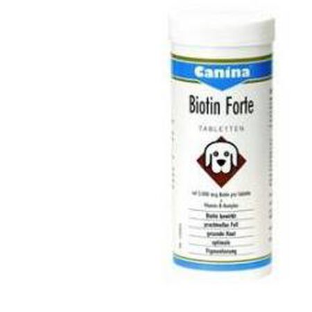 BIOTIN FORTE POLVERE 100 G image not present